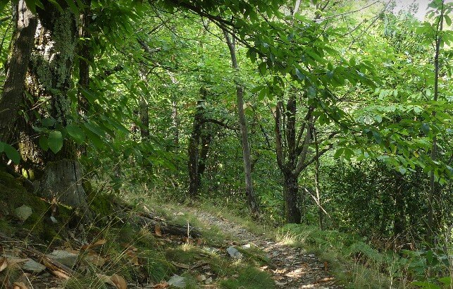 Sentier de Tignac